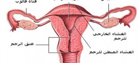 مشاكل واسباب وامراض المهبل