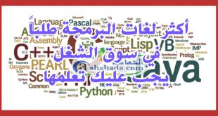 لغات البرمجة