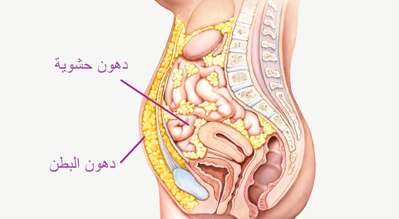 للقضاء على دهون البطن عليك بهذه الخلطات المجربة