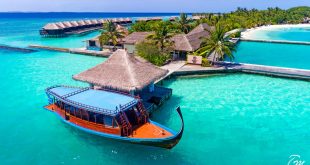 فندق شيراتون المالديف